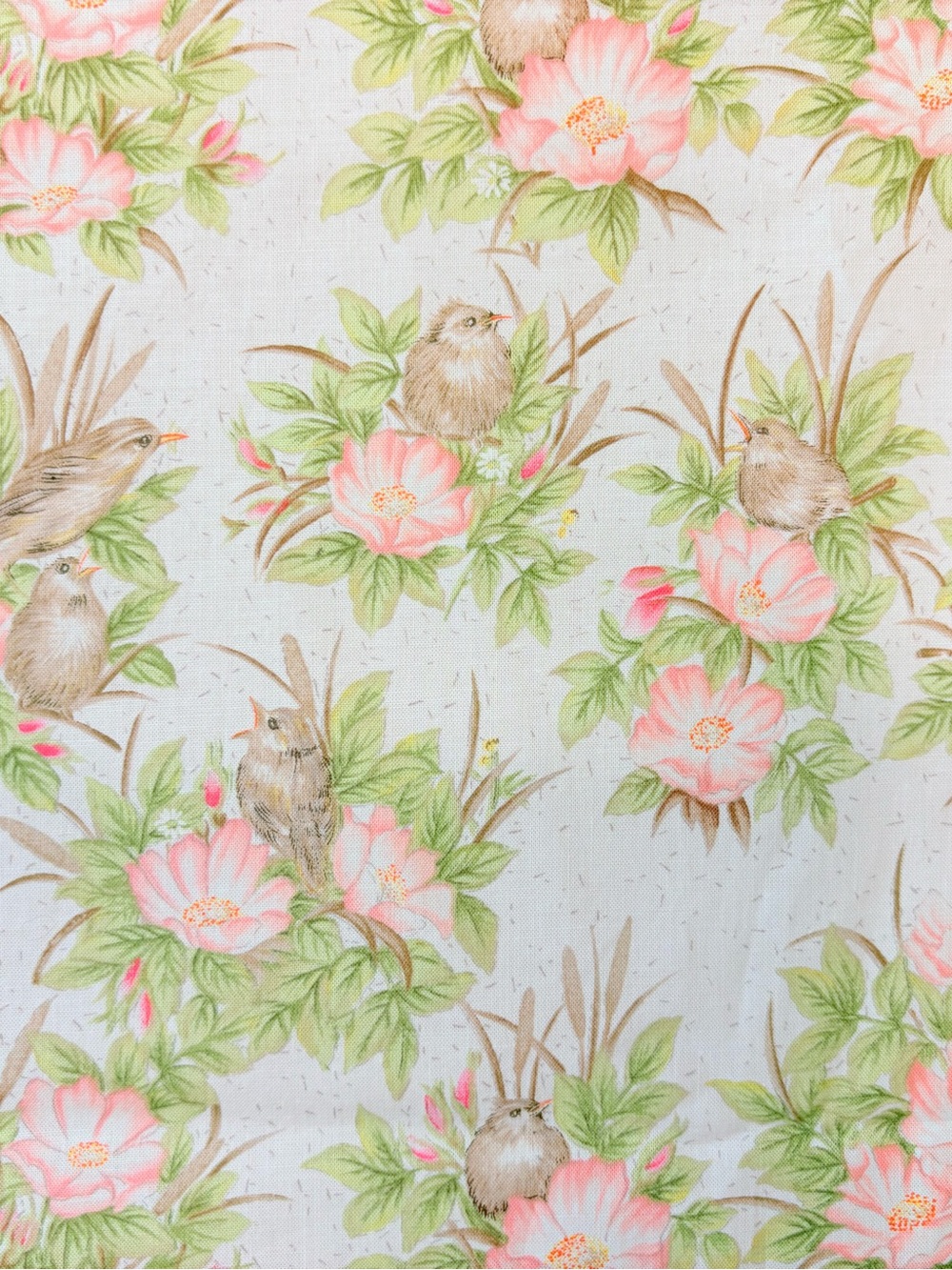 Vintage “Song of Spring" RJR Quilting Fabric 5+ Yards
